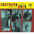 Southern Bred, Vol. 17 - Louisiana and New Orleans R&B Rockers - Down Yonder We Go Ballin' | Mathew Jacobs