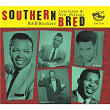 Southern Bred, Vol. 18 - Louisiana and New Orleans R&B Rockers - Jumpin' from Six to Six | Ray Johnson