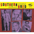 Southern Bred, Vol. 19 - Louisiana and New Orleans R&B Rockers - You Better Believe It | Fats Domino