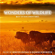 Wonders of Wildlife - Best of Documentaries | Martin Lingnau