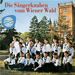 Die Sängerknaben vom Wiener Wald | Wiener Volksopernorchester