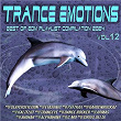 Trance Emotions Vol.12 (Best of Edm Playlist Compilation 2024) | Slayersfiction