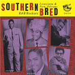 Southern Bred, Vol. 19 - Louisiana and New Orleans R&B Rockers - You Better Believe It | Fats Domino