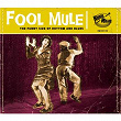 Fool Mule | Big Jay Mc Neely