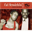 Cat Scratchin' | Rebecca Williams