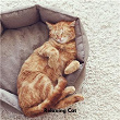 Relaxing Cat | Music For Cats Peace, Cat Relaxing Sounds Ta, Calming Cat Music