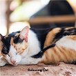 Relaxing Cat | Cat Sleeping Music Project, Rainy Day For Sooth Cats, Sleepy Cat