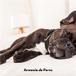 Armonía de Perro | Ansiedad De Los Perros, Musica Relajante Para Perros, Musica Para Perros