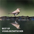 Best Of Vogelgezwitscher | Vogelstimmen, Waldgeräusche, Naturgeräusche Zur Entspannung