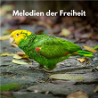 Melodien der Freiheit | Vogelstimmen, Waldgeräusche, Naturgeräusche Zur Entspannung