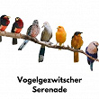 Vogelgezwitscher Serenade | Vogelstimmen, Waldgeräusche, Naturgeräusche Zur Entspannung