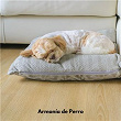 Armonía de Perro | Ansiedad De Los Perros, Musica Relajante Para Perros, Musica Para Perros