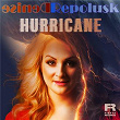 Hurricane | Denise Repolusk