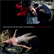 Where the Wild Roses Grow | Nick Cave