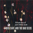 Fifteen Feet of Pure White Snow | Nick Cave & The Bad Seeds