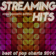 Streaming Hits - Best of Pop Charts 2014 (Xmas Acoustic Edition) | Kenny Jonson