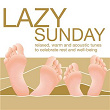 Lazy Sunday - Relaxed, Warm and Acoustic Tunes to Celebrate Rest and Well-Being | Ingo Hassenstein Und Hanjo Gäbler