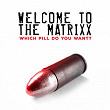 Welcome to the Matrixx | Lars Kurz, Paul Werner, Manuel Loos