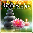 Wellness & Spa - 20 Songs for Relaxation | Martin Olding