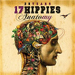 20 Years 17 Hippies - Anatomy | 17 Hippies