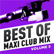 Best of Maxi Club Mix, Vol. 5 (Remastered) | Tina Turner