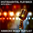 Instrumental Playback Hits - Karaoke Remix Playlist 2016.1 | Robyn Master