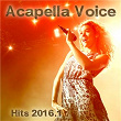 Acapella Voice Hits 2016.1 | Robyn Master