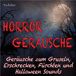 Horror Geräusche - Geräusche zum Gruseln, Erschrecken, Fürchten und Halloween Sounds | Todster