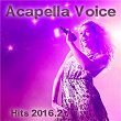 Acapella Voice Hits 2016.2 | N Tire