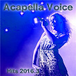 Acapella Voice Hits 2016.3 | Melanie Endecott