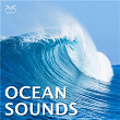 Ocean Sounds | Ocean Relaxation Ta, Nature Relaxation Ta, Torsten Abrolat