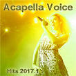 Acapella Voice Hits 2017.1 | Bridgestone
