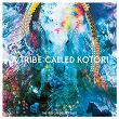 A Tribe Called Kotori | Oliver Koletzki