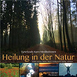 Heilung in der Natur - SyncSouls Kurzmeditationen: Wald, Wiese, Meer, Fluss, Landschaft, Sonne, Schnee | Franziska Diesmann, Torsten Abrolat