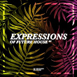 Expressions Of Future House, Vol. 3 | Plastik Funk, Grandmaster Melle-mel