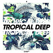 Tropical Deep, Vol. 4 | Bolier