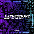 Expressions Of Future House, Vol. 14 | Faul & Wad, Avalanche City