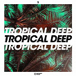 Tropical Deep, Vol. 5 | Andrey Exx, Ellis Miah