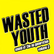 Wasted Youth, Vol. 3 | Bart B More, Tommie Sunshine