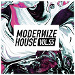 Modernize House, Vol. 55 | Maffa & Cap