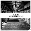 Solid Underground #20 | Deeplotronic