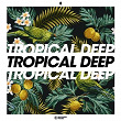 Tropical Deep, Vol. 8 | Calmani & Grey