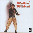 Wailin' Wildcat | Steve Bledsoe