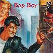 Bad Boy | Mickey Hawks