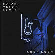 I'm Blue (Burak Yeter Remix) | Kush Kush