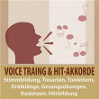 Voice-Training & Hit-Akkorde: Stimmbildung, Tonarten, Tonleitern, Dreiklänge, Gesangsübungen, Kadenzen, Hörbildung | Tonmeister Ta, Voice Trainer Ta, Todster