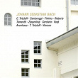 J.S. Bach: Brandenburg Concerto No. 6 in B-Flat Major, BWV 1051; Sonata for Viola da Gamba in G Minor, BWV 1029; Violin Sonata in F Minor, BWV 1018 (Live) | Christian Tetzlaff