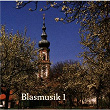 Blasmusik (1) | Blaskapelle Herbert Ferstl