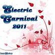 Electric Carnival 2011 | Zedd