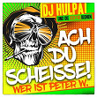 Ach du Scheisse (Wer ist Peter W.) | Dj Hulpa